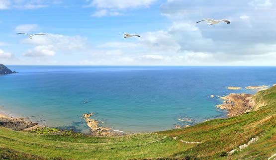 Aandachtstrekker Normandie